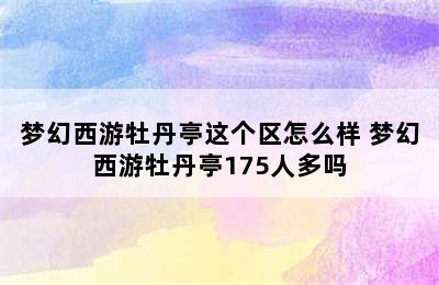 梦幻西游牡丹亭这个区怎么样 梦幻西游牡丹亭175人多吗